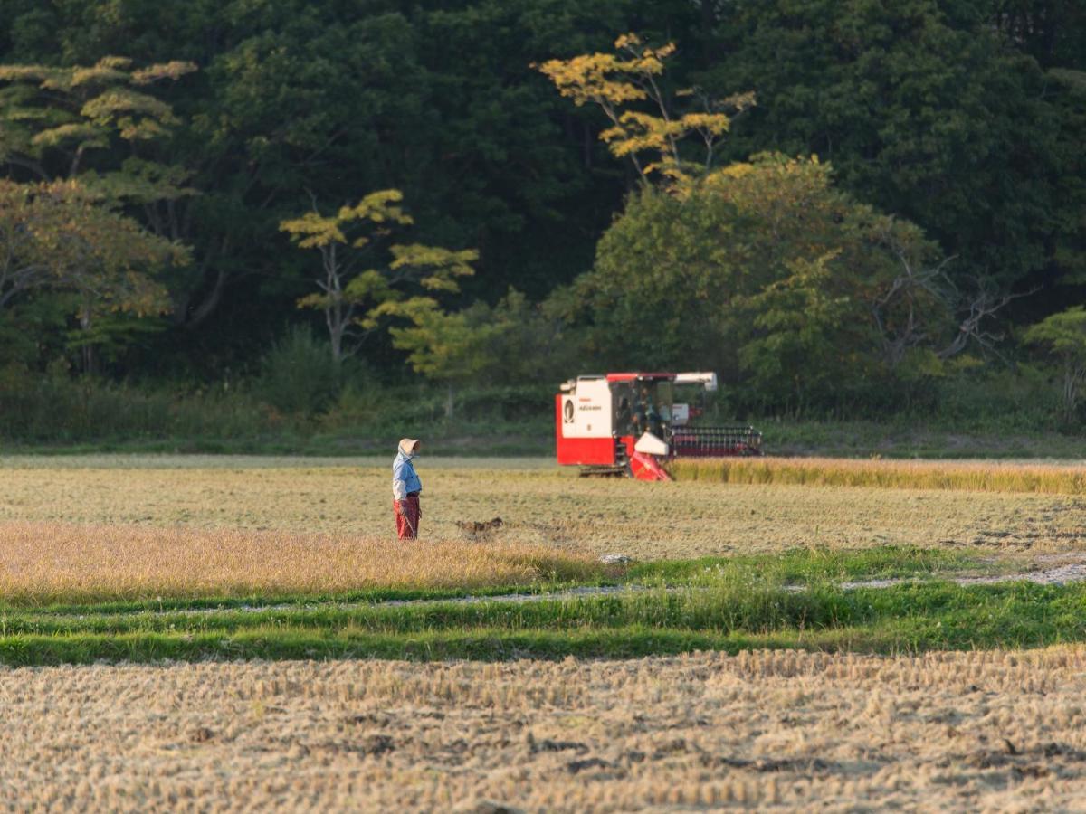 古民家の宿 Solii Ishikari Eksteriør bilde